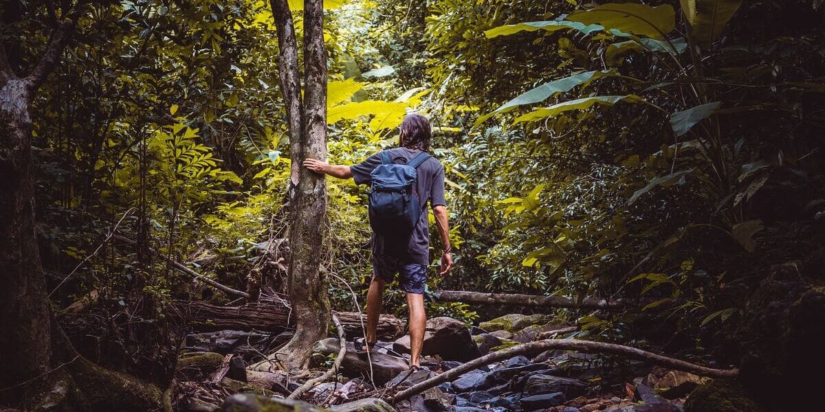 Wandern in der Natur Thailands